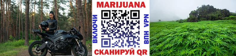 Конопля OG Kush  Купить где  Бабаево 